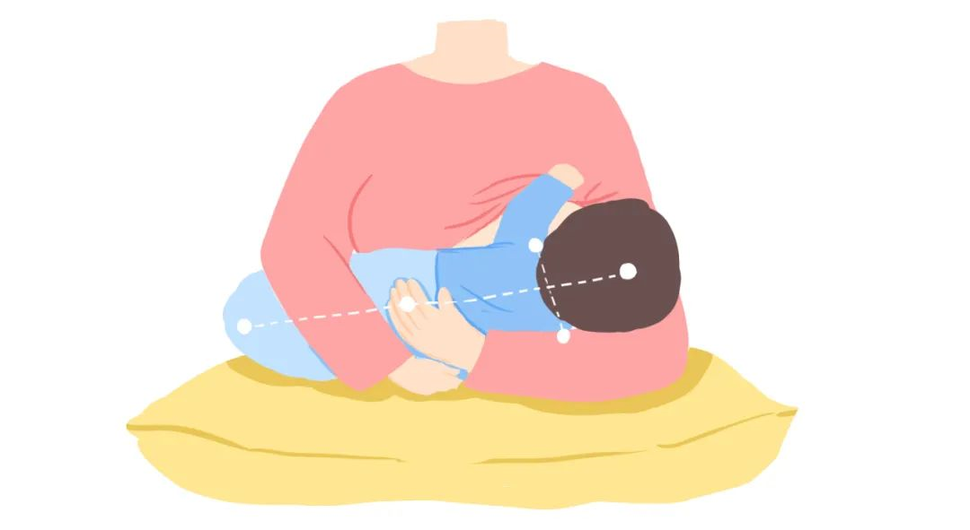 可用剪刀手夹住乳晕,来