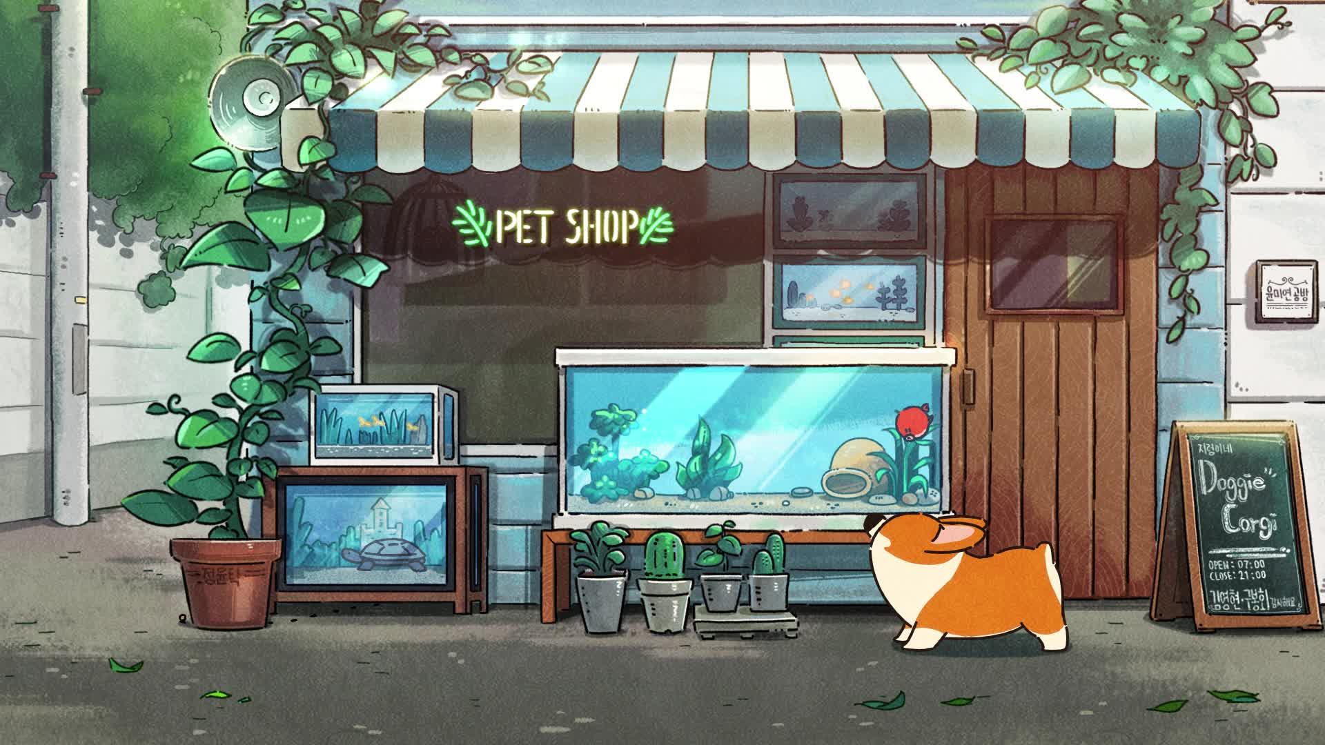 治愈系小短腿柯基ep10