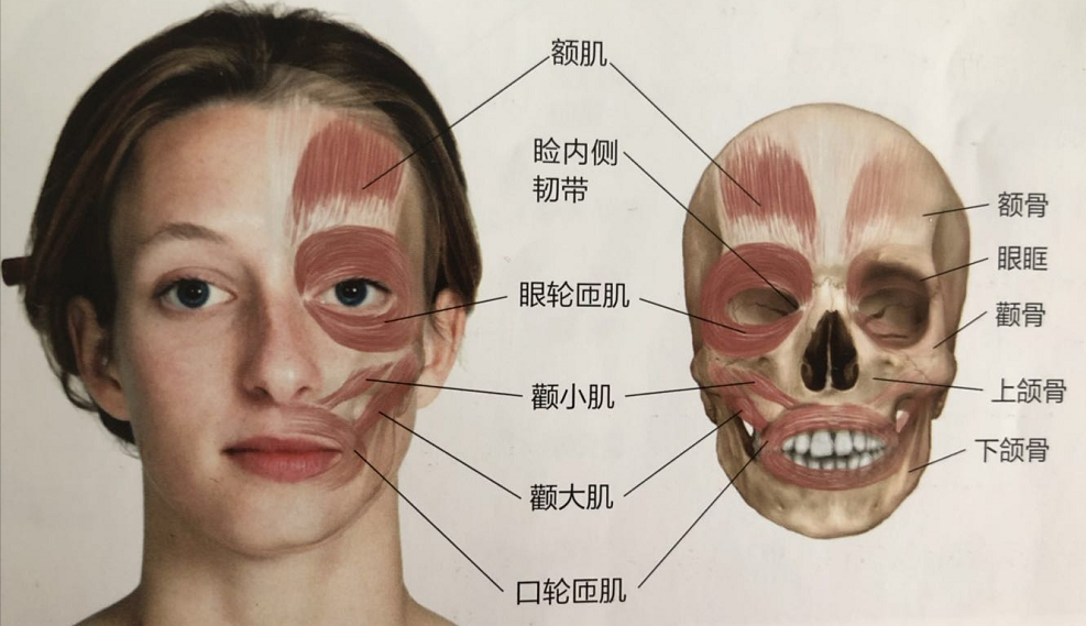 障碍综合征的一种,表现为面部肌肉不自主抽动,一般先由眼轮匝肌开始