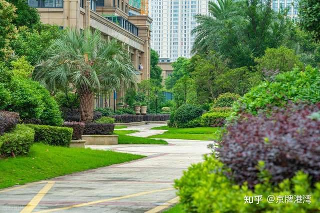从“拥有限制”到“使用调节”:北京治堵的下一块拼图