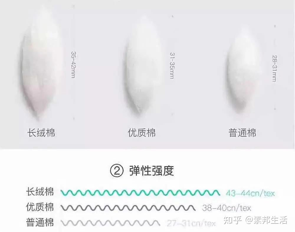 所以生长出的纤维都是≥42mm 纤维长度更大,织出来的面料就更加不易
