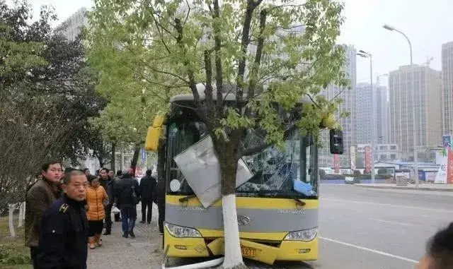 重慶公交車墜江真相因為錯過了一站15個人錯過了餘生