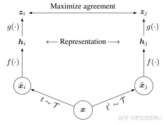 simclr怎么读