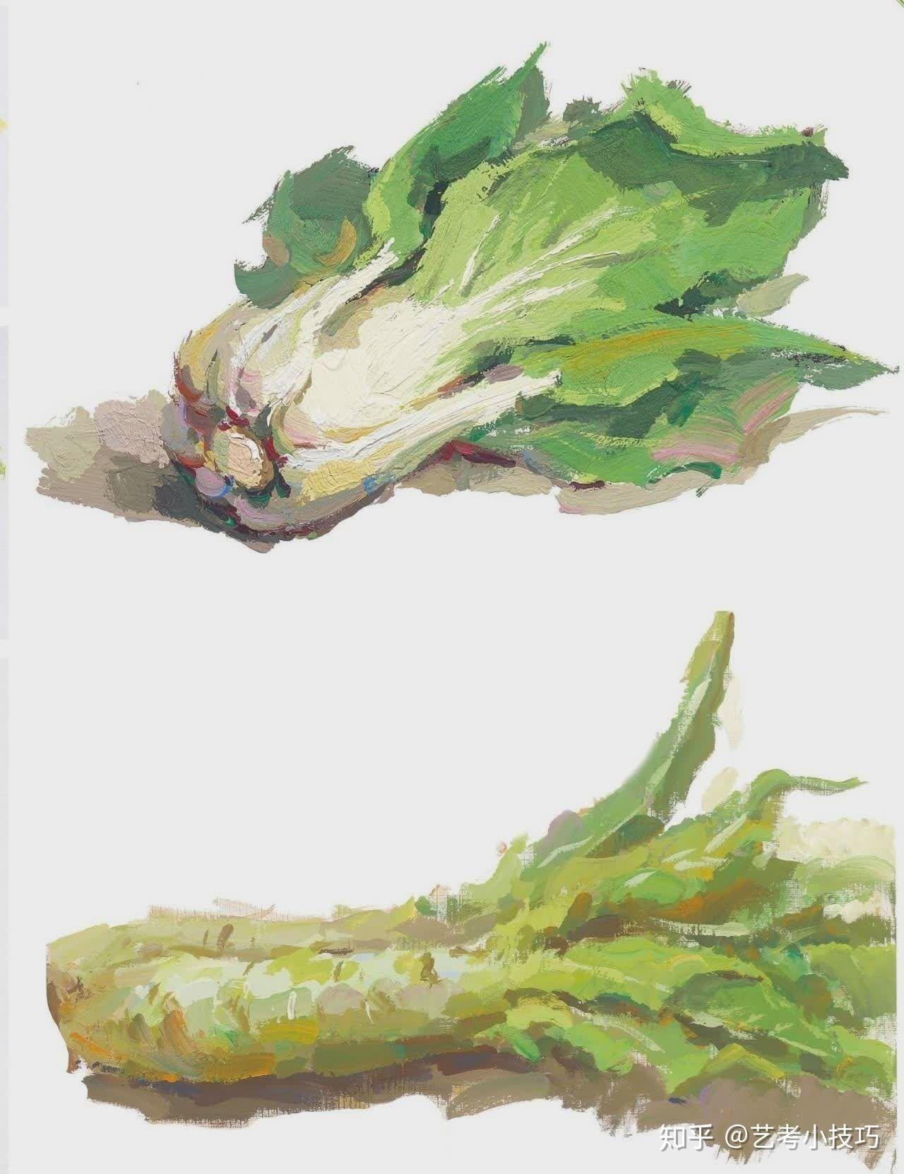 色彩静物单个物体塑造干货