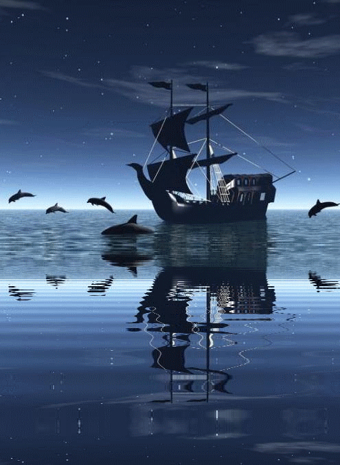 GIF 动态图(6) 自然风景：海洋世界 (船、游鱼、海豚、贝壳等)【多图欣赏】 - 知乎