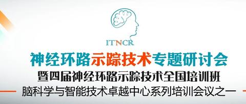 图标