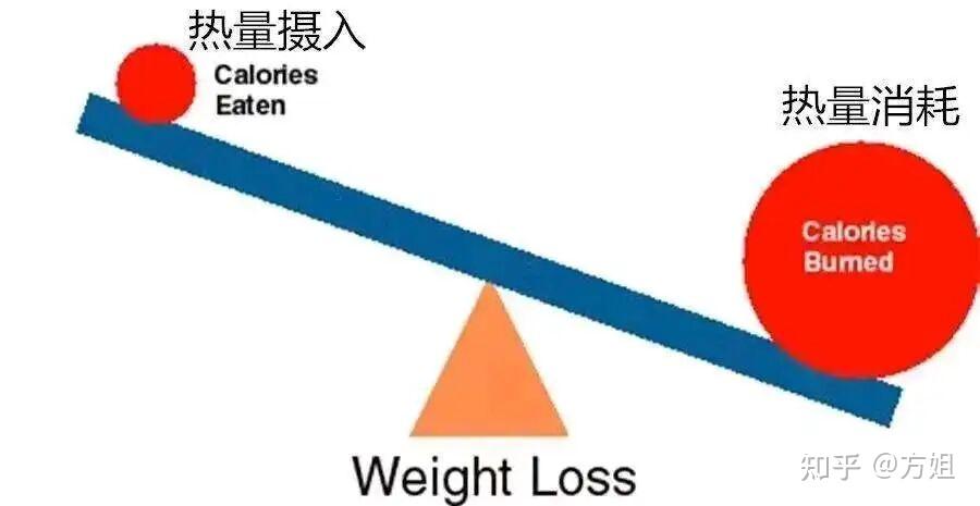 靠饿能瘦下来吗？ - 知乎