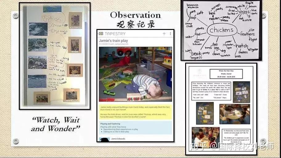 酸了！20000㎡的森林校区！ 深圳首个全英式EYFS国际幼儿园揭秘！ - 知乎
