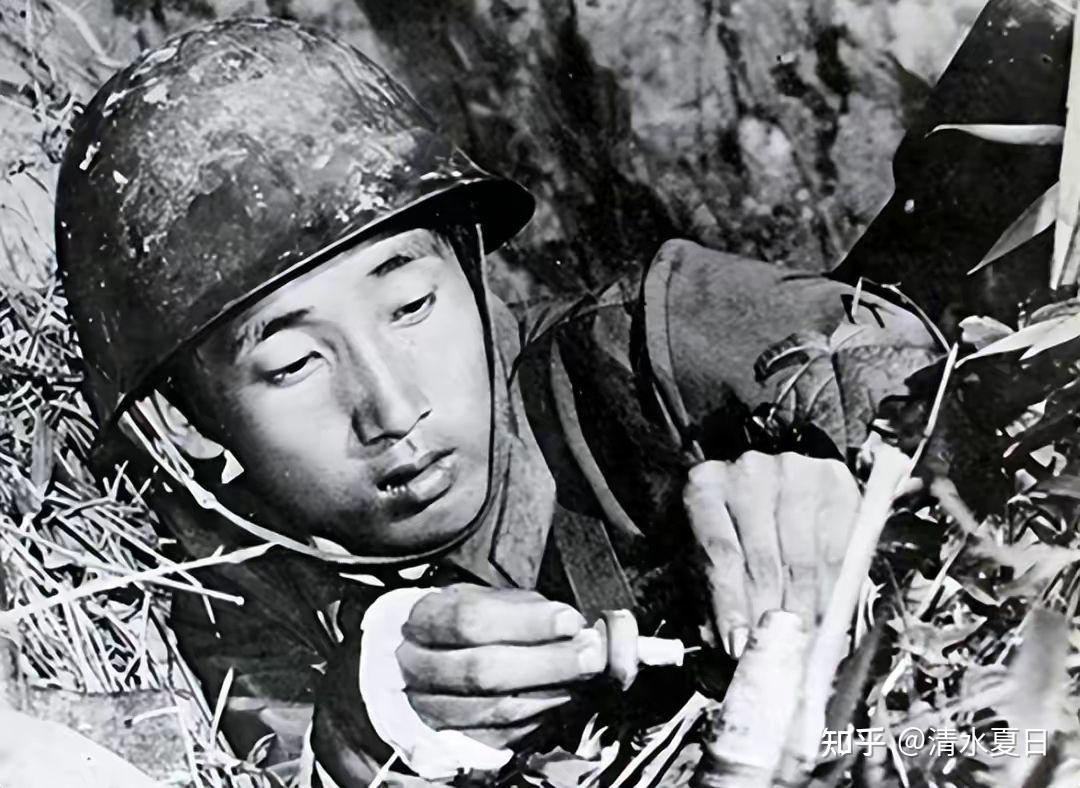 震惊世界的中越边境雷区,排雷有多难?上百万颗地雷至今无法排 - 知乎