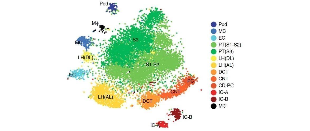 origin作图教程绘制个性化的分组散点图