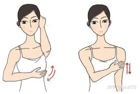 美胸又护胸值得收藏的生活小细节