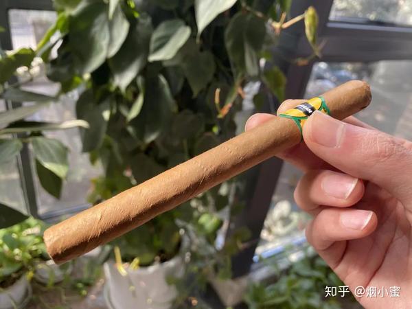 时尚潮茄 狮牌 加勒比阳光 初体验 知乎