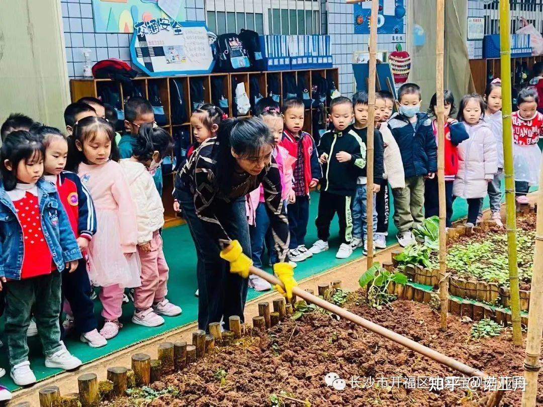 [图]拥抱春天 呵护绿色——市平东幼儿园开展植树节种植活动