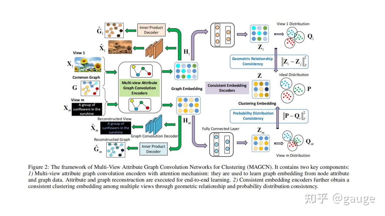 Multi-View Attribute Graph Convolution Networks for Clustering（MAGCN）论文 ...