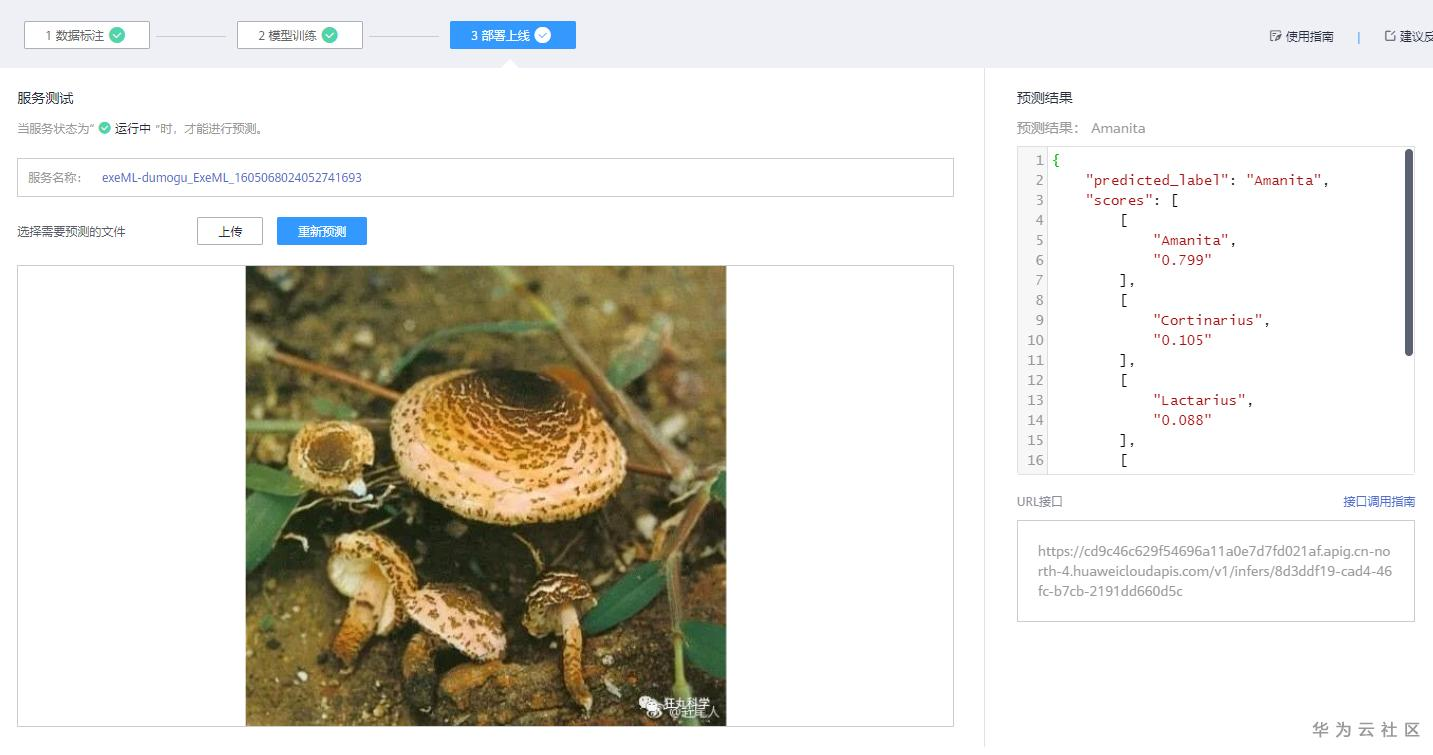 手把手教你使用ModelArts的自动学习识别毒蘑菇分类 手把手教你使用ModelArts的自动学习识别毒蘑菇分类