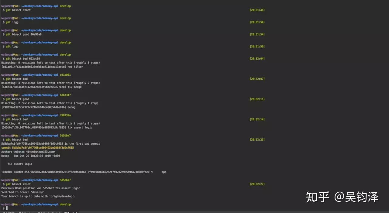  git bisect bug 