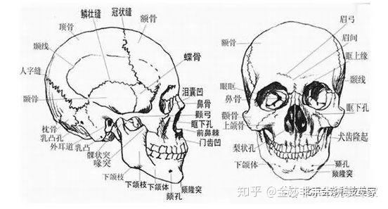 女人美不美看皮相有没有气质看骨相你属哪种