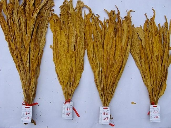 严把质量关：科技时代对产品检测的新要求