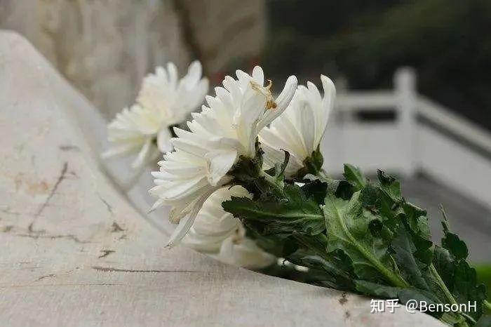 家里有老人去世不能去别人家吗？ - 知乎