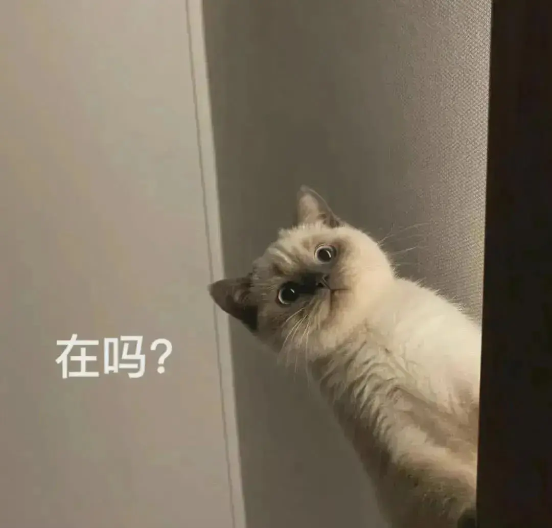 122张让别人秒回的表情包 - 知乎