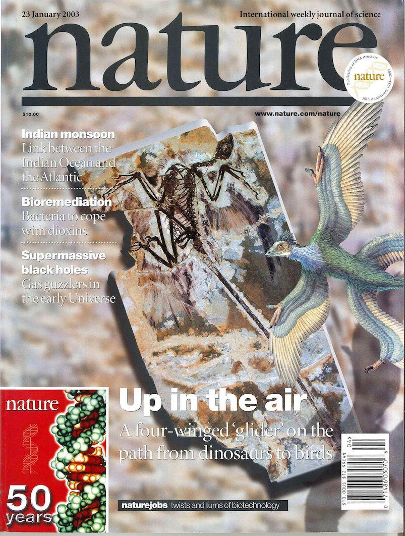 21世紀以來登上nature雜誌封面的13篇中國論文