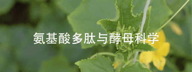 非生物胁迫:影响因素、作用机理与对作物的影响 - 知乎