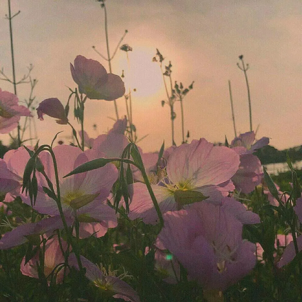 一组超好看的蓝色简约壁纸和绝美的背景图