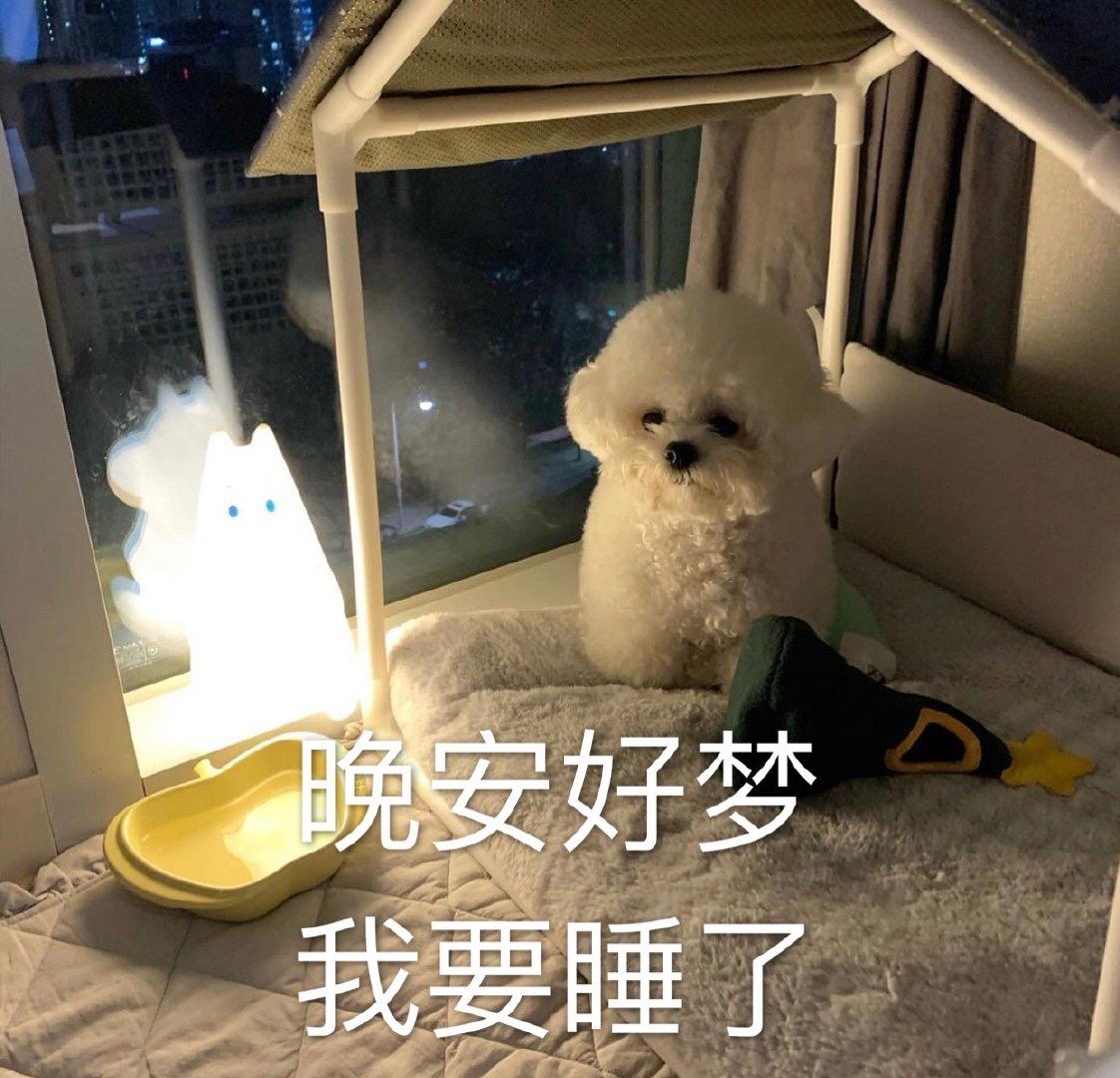 晚安是表情包好还是文字好
