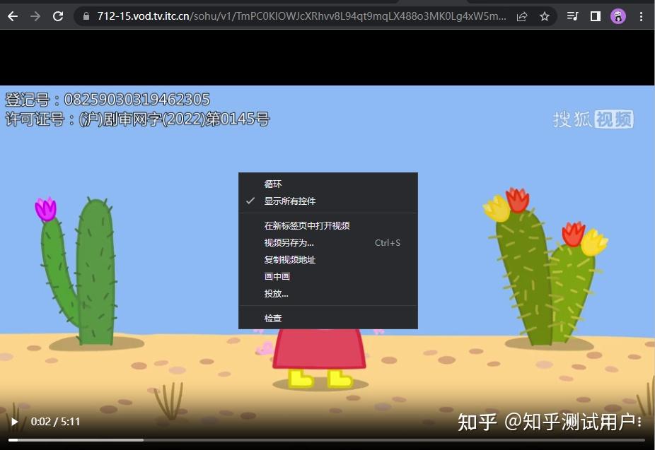 如何下载搜狐SOHU视频插图7