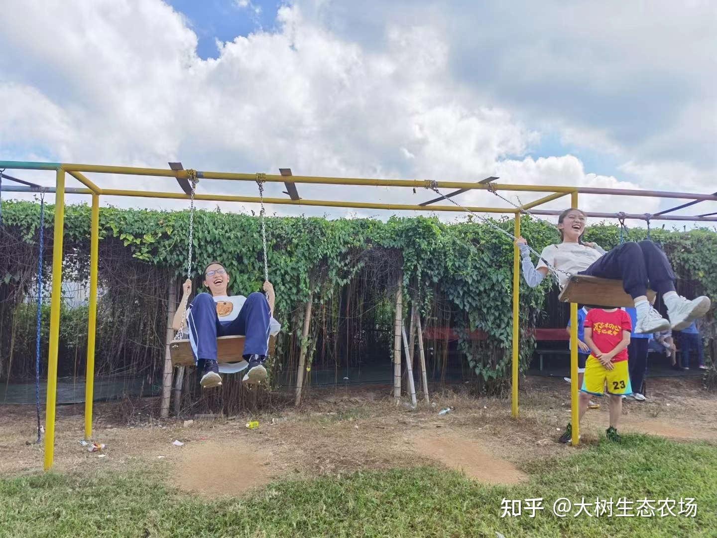 深圳团建活动|深圳农家乐|深圳趣味团建活动 - 知乎