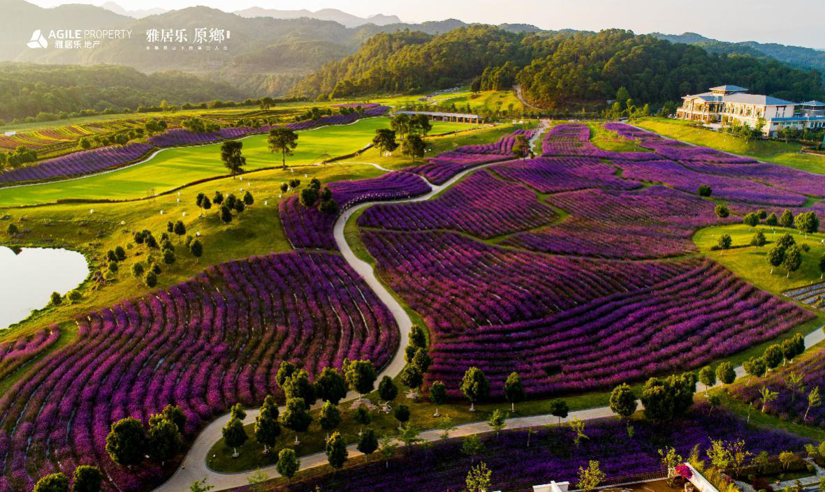 雅居乐云南原乡构建社群文化诠释当代中国的精神归属