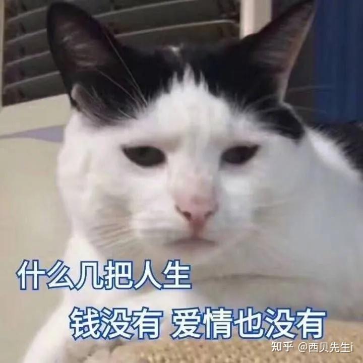 沙雕文案笑到窒息图片,沙雕文案笑到窒息图片大全
