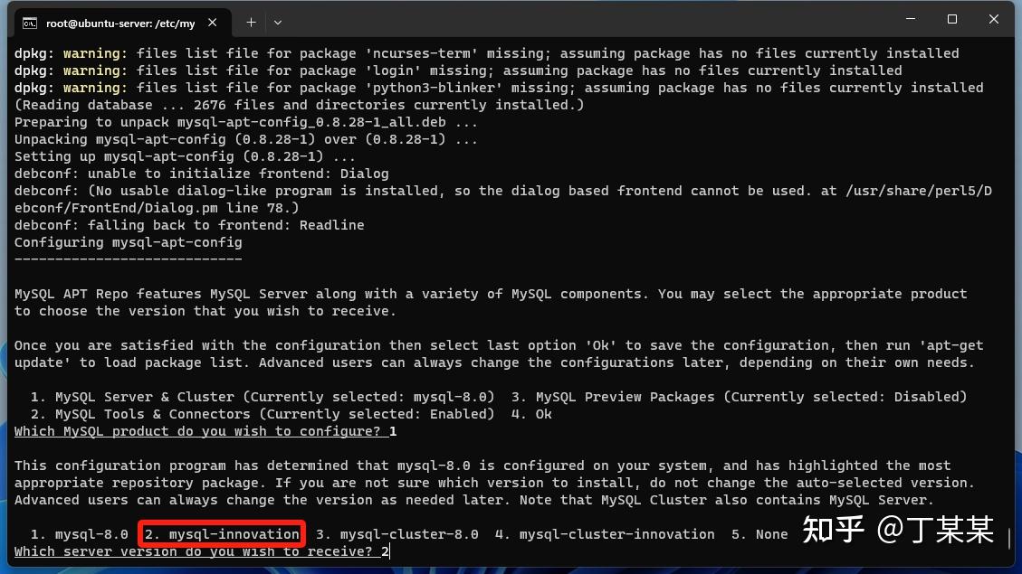 Ubuntu server24 04 mysql9 2 