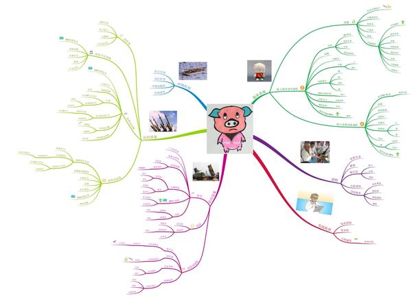 以猪为主题的思维导图图片