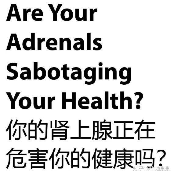 博士文章翻譯橋本甲狀腺炎必看你的腎上腺正在危害你的健康嗎