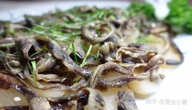 012白灼地龙就是想吃也不知道说什么油炸禾虫 蒜蓉禾虫 爆炒禾虫 三丝