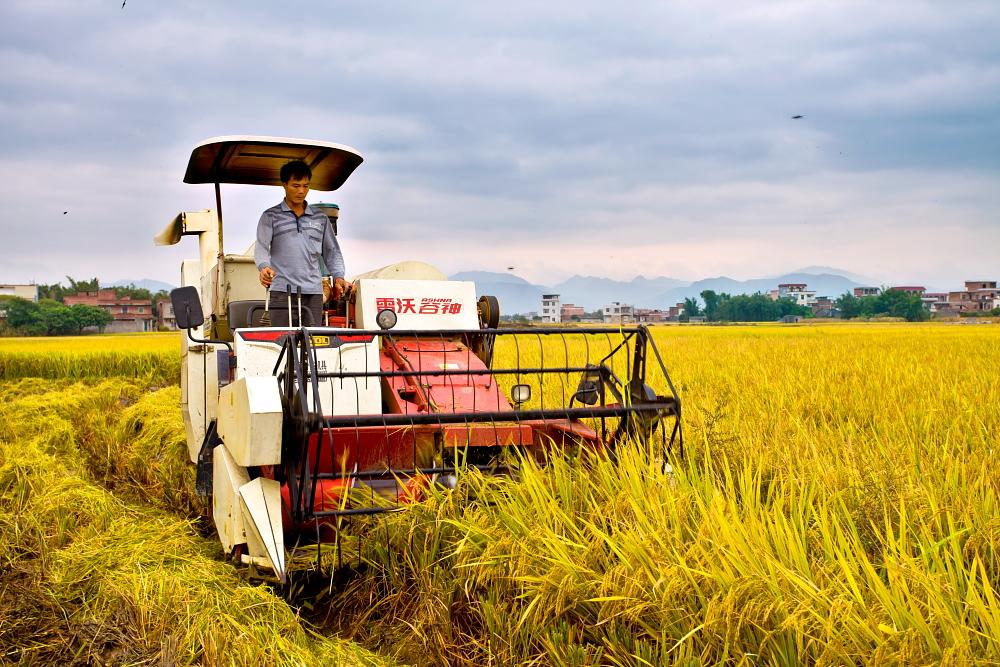 1,进一步提升农业现代化进程