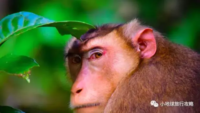 史上最好的沙巴小众旅行攻略，没有之一。