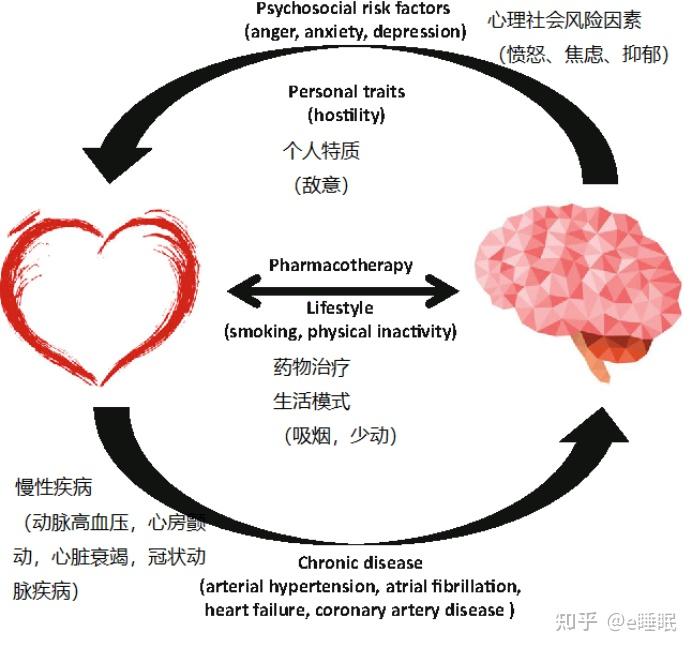 双心医学,工作压力是如何影响心理和身体健康的 - 知乎