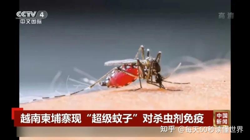 12月25日,星期日,在这里每天60秒读懂世界! 12月25日,星期日,在这里每天60秒读懂世界!