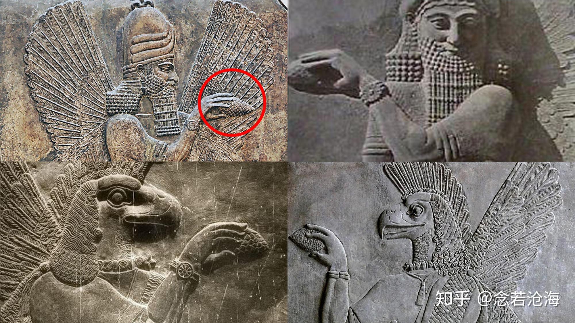 大脑中神秘的松果体就是天眼么