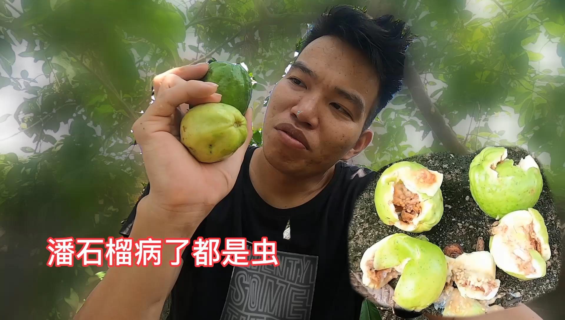 福建为啥简称闽门中之虫是指啥源自上古的崇拜