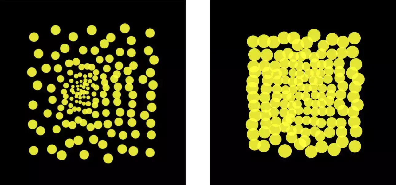 学习留意期间形成的中心凹