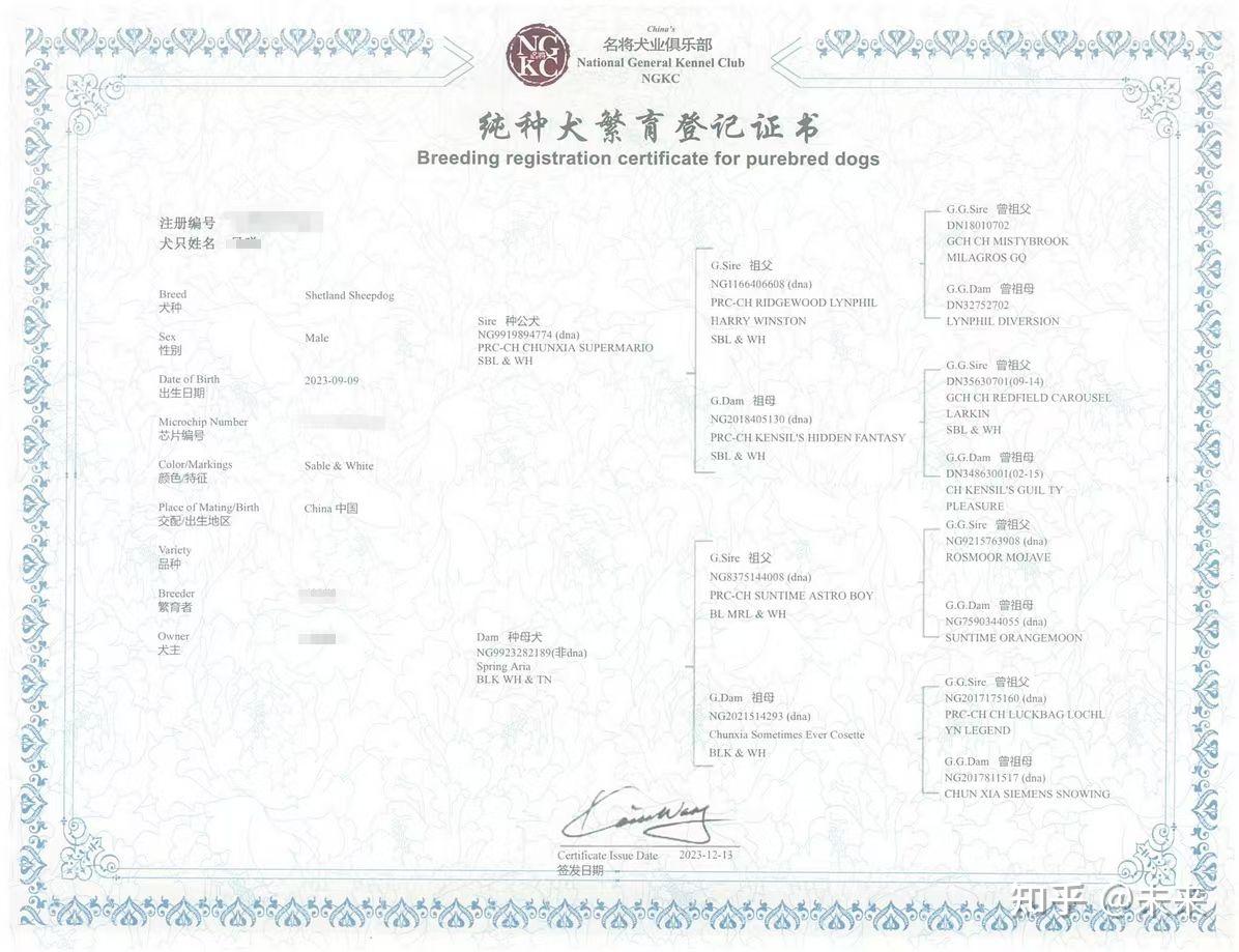 NGKC血统证书/出生纸 - 知乎