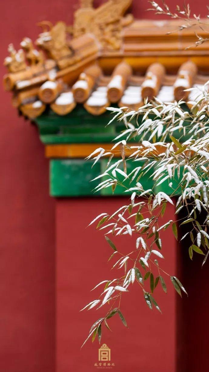 600岁网红故宫又放大招了普通人也可以在宫里过大年