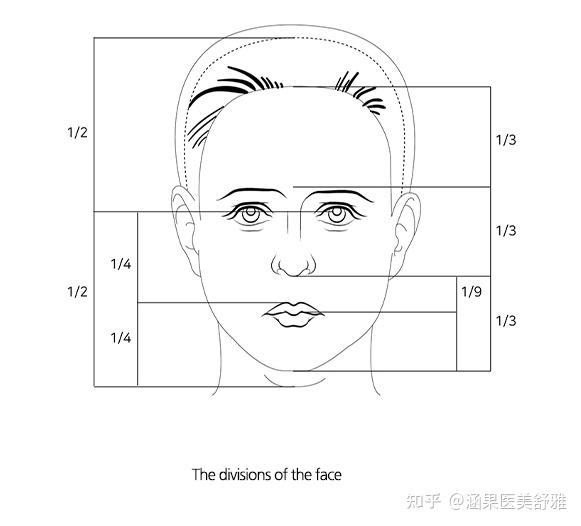 人中是下巴的1/2 ,不要去可以的量人种的长度,就要看人中在你脸上的