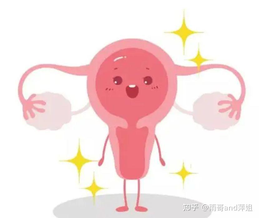 妇产科见闻实录（二十）丨双子宫 - 知乎