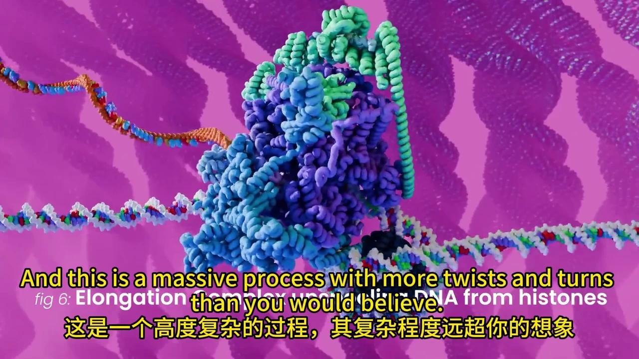 彻底解密DNA转录与mRNA剪接:动画揭秘生物学奥秘 - 知乎