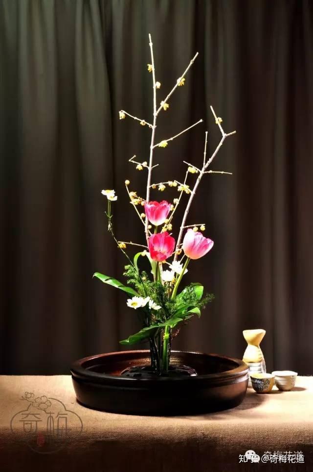 奇梅花道中国插花的天道与地理