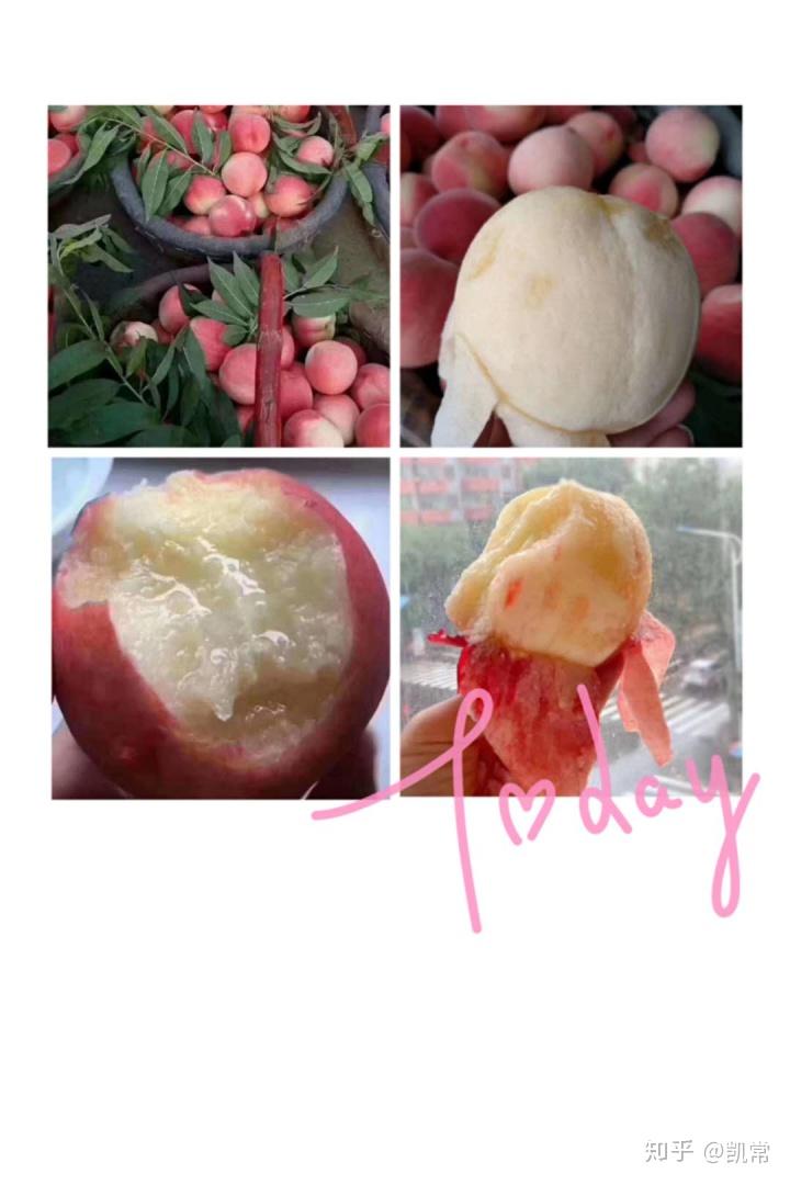 关注公众号凯鹅,或者添加这个微信:395838437,就说你是买桃子的.